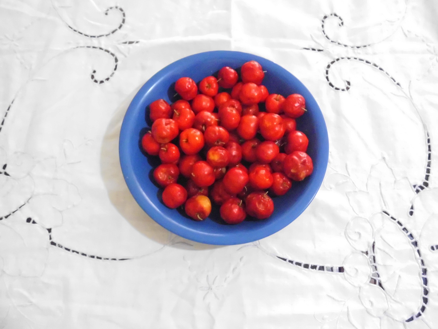 Bowl of bright red Barbados cherries