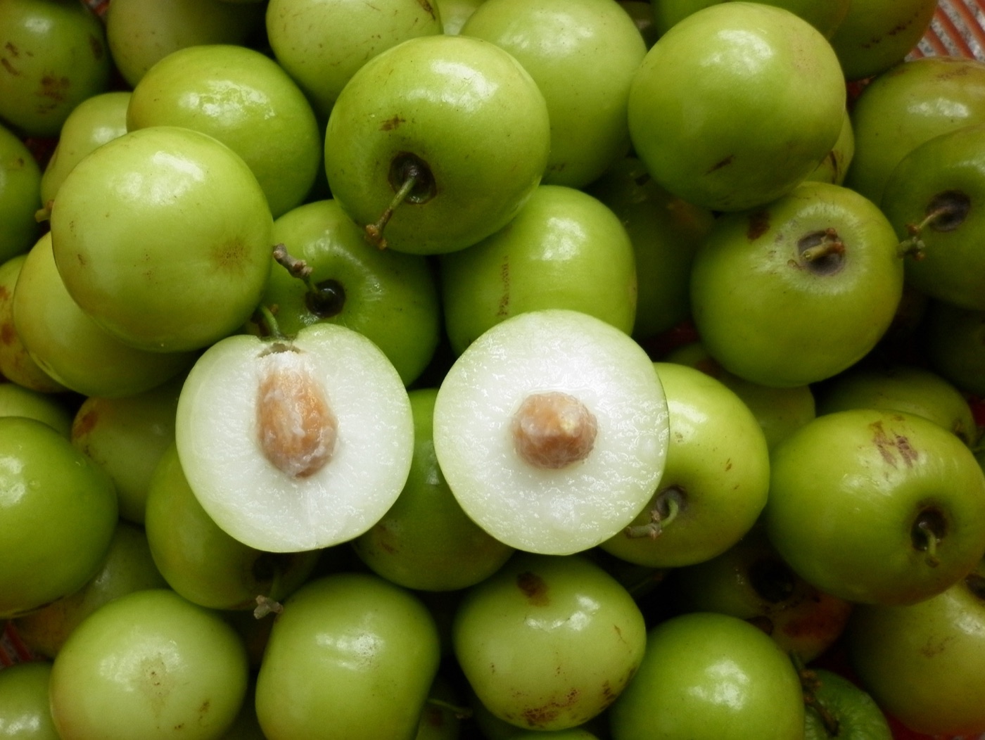 Pile of round green Indian jujube fruit, some cut in half