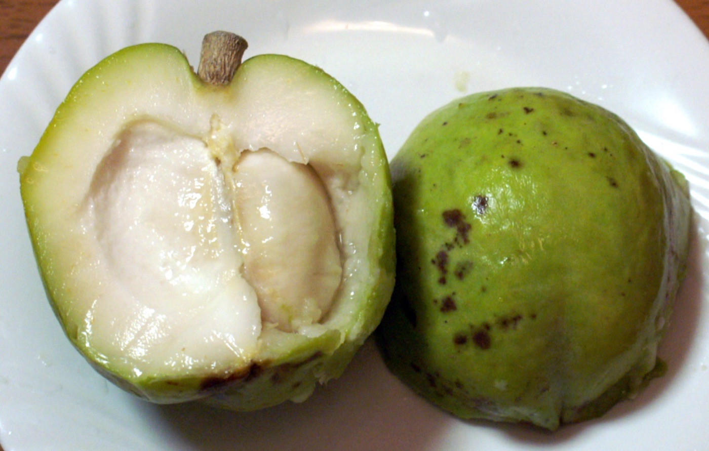 White sapote fruit cut open to show cream-colored flesh